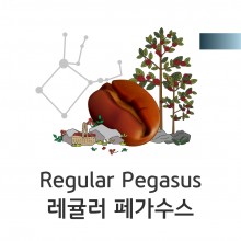 [클래식원두] 레귤러 페가수스1kg