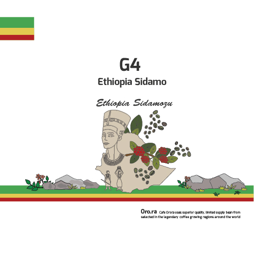 G4 (Ethiopia Sidamo)