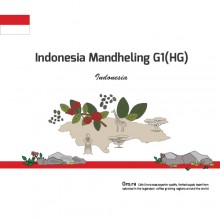 [Indonesia] mandheling G1