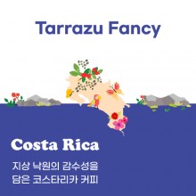 [코스타리카] Tarrazu Fancy