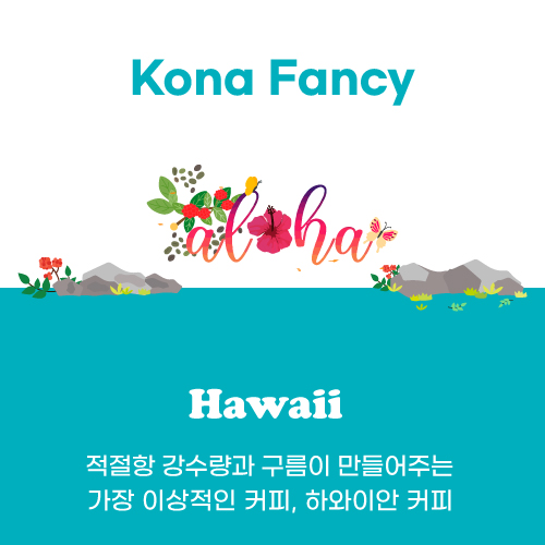 [하와이] Kona Fancy