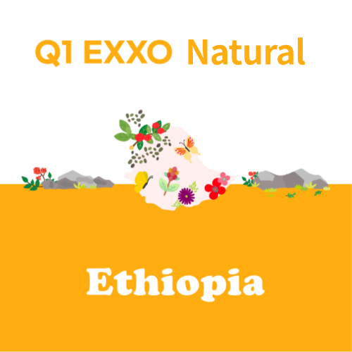 [에티오피아] Q1 EXXO Natural