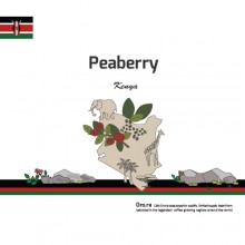 [Kenya] Peaberry