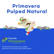 [브라질] Primavera Pulped Natural