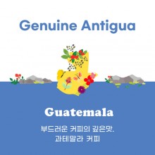 [과테말라] Genuine Antigua